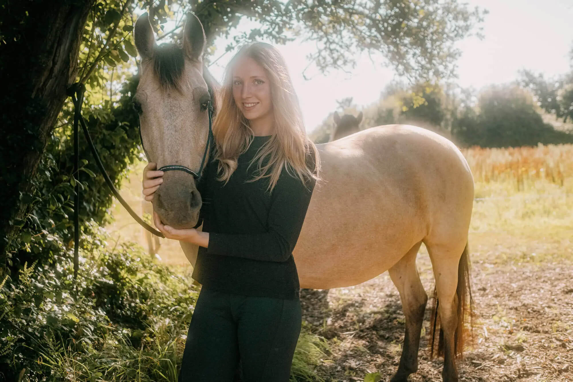 L'Homme et l'Animal - Photographe animalier canin, félin, équin à Trégastel et dans le Trégor, Côtes d'Armor, Bretagne