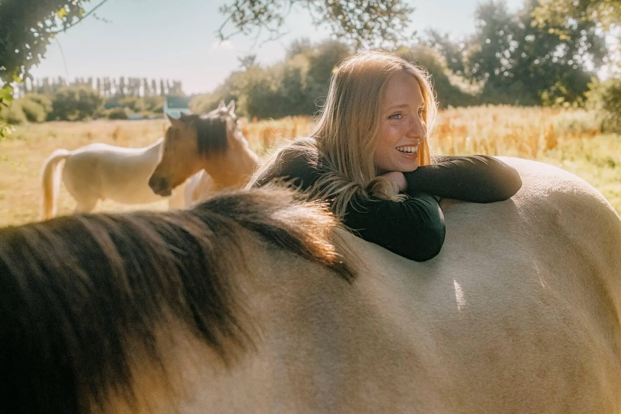 L'Homme et l'Animal - Photographe animalier canin, félin, équin à Perros-Guirec et Lannion, Côtes d'Armor, Bretagne