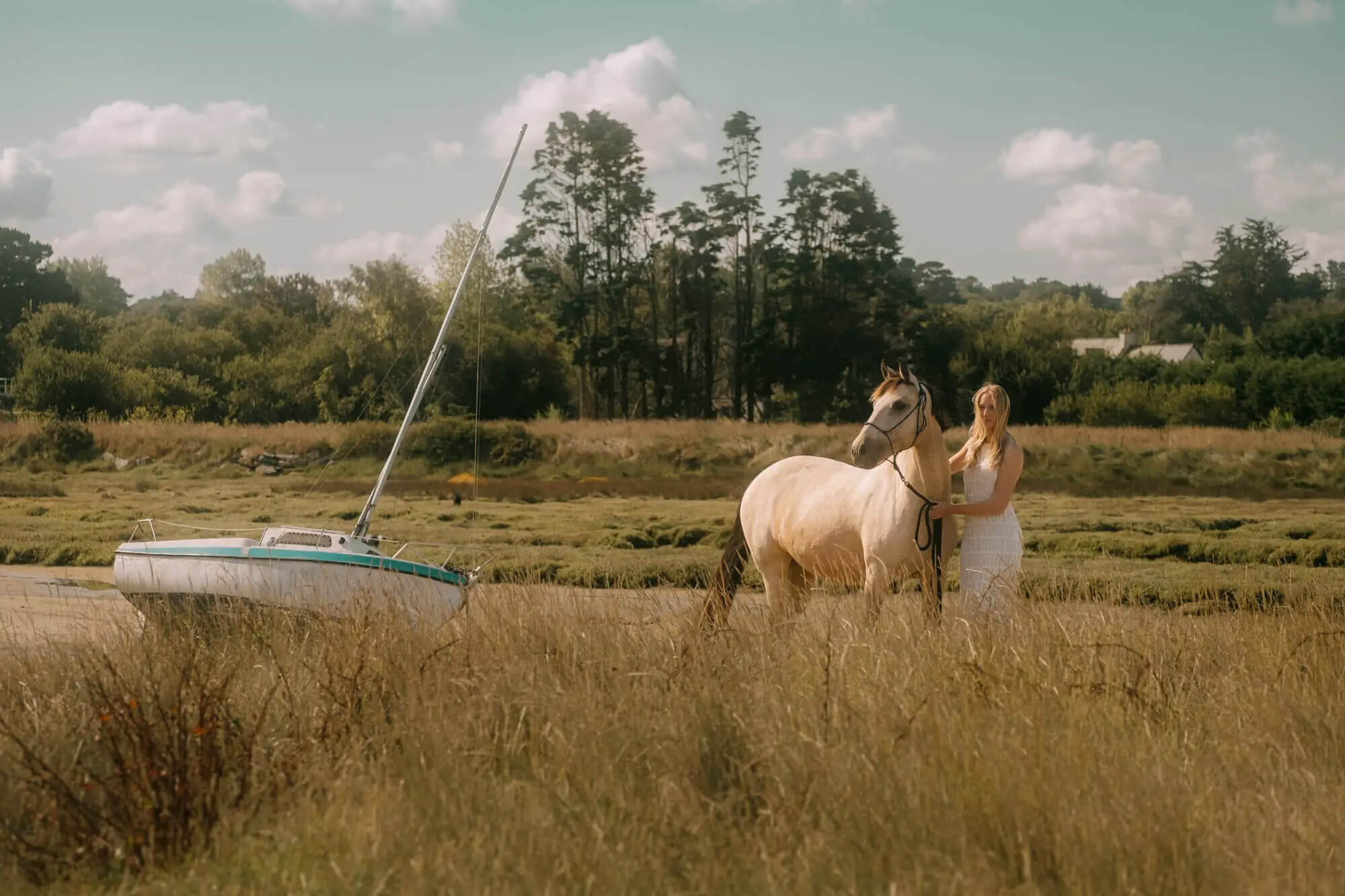 L'Homme et l'Animal - Photographe animalier canin, félin, équin à Perros-Guirec et Lannion, Côtes d'Armor, Bretagne
