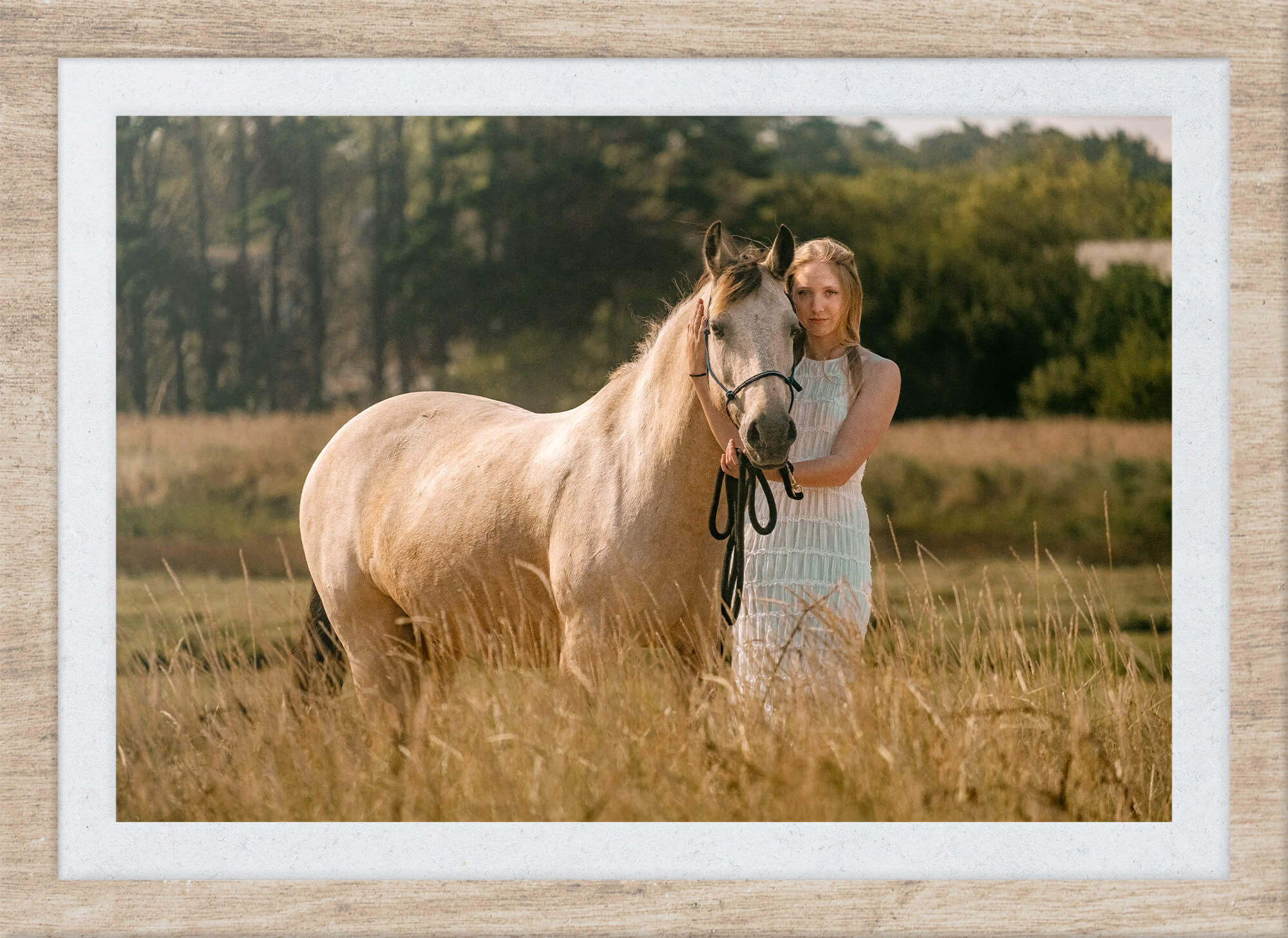 L'Homme et l'Animal - Photographe équin, cheval à Perros-Guirec et Lannion, Côtes d'Armor, Bretagne