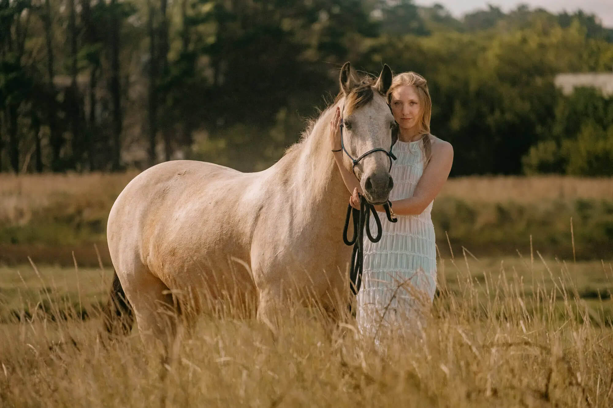 L'Homme et l'Animal - Photographe animalier canin, félin, équin à Perros-Guirec et Lannion, Côtes d'Armor, Bretagne