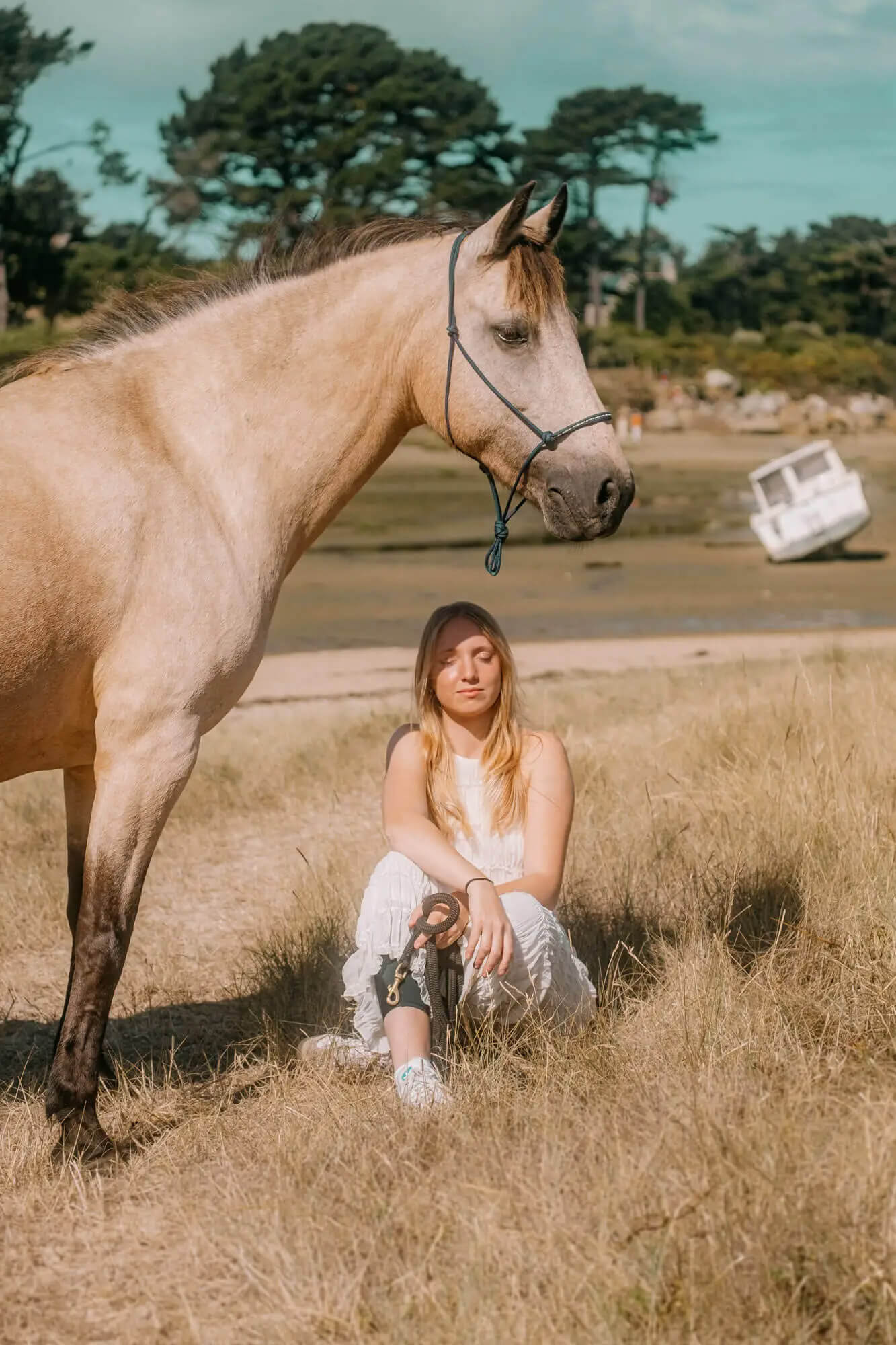 L'Homme et l'Animal - Photographe animalier canin, félin, équin à Perros-Guirec et Lannion, Côtes d'Armor, Bretagne