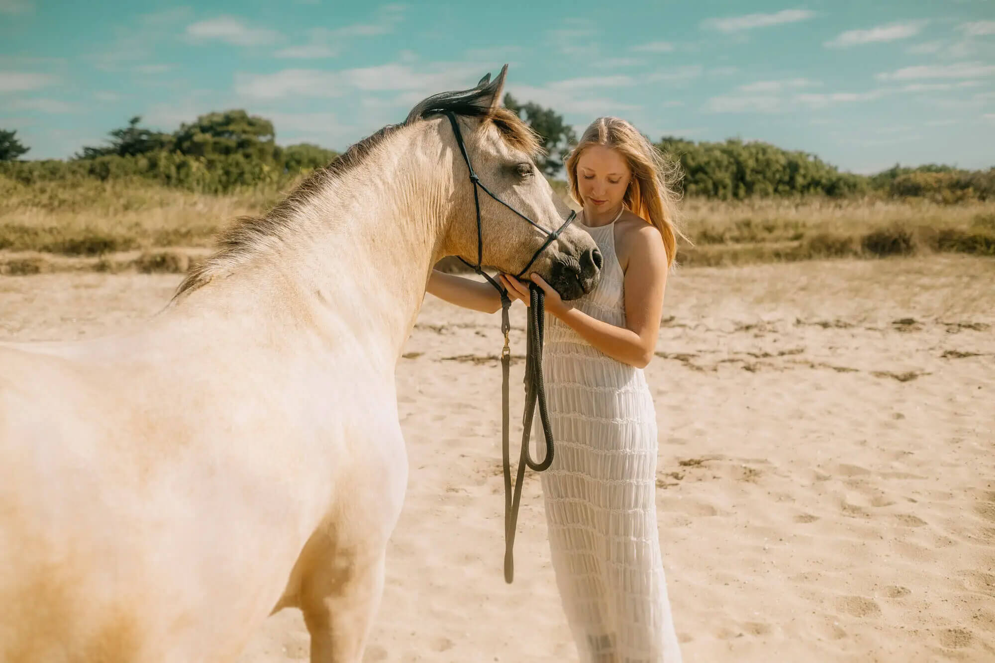 L'Homme et l'Animal - Photographe animalier canin, félin, équin à Perros-Guirec et Lannion, Côtes d'Armor, Bretagne