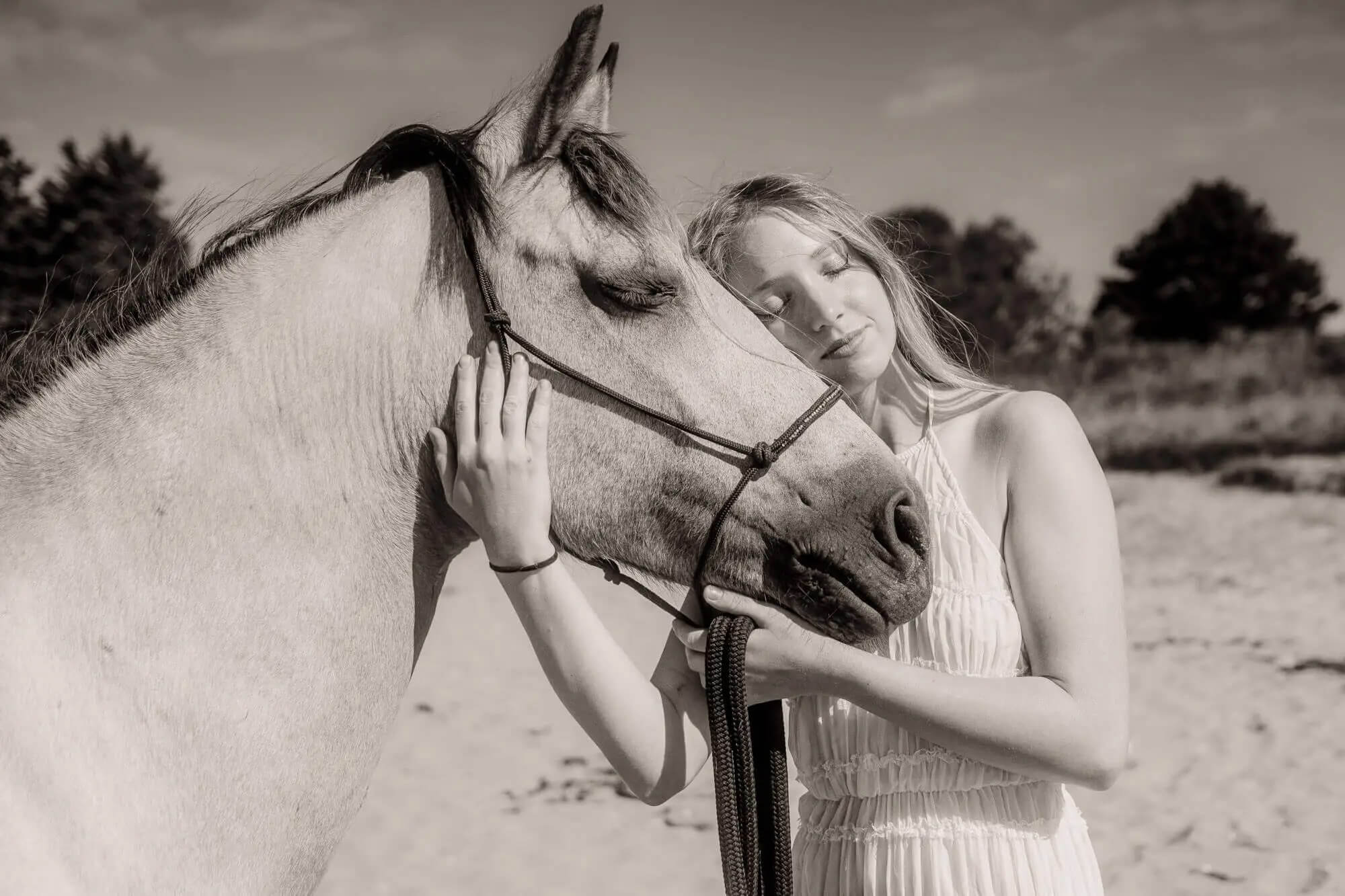 L'Homme et l'Animal - Photographe animalier canin, félin, équin à Perros-Guirec et Lannion, Côtes d'Armor, Bretagne