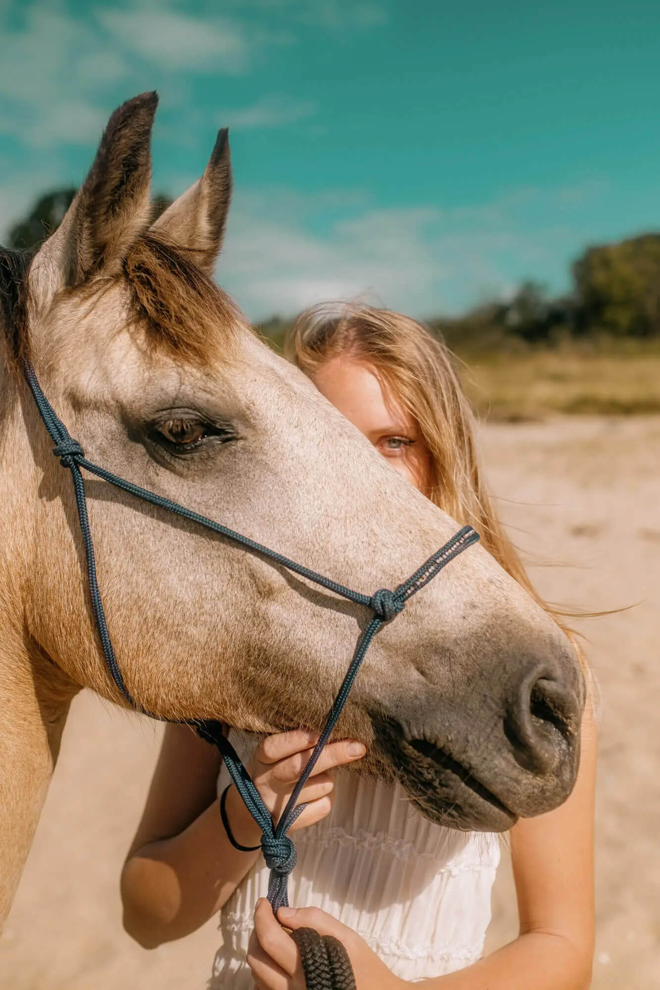 L'Homme et l'Animal - Photographe animalier canin, félin, équin à Perros-Guirec et Lannion, Côtes d'Armor, Bretagne
