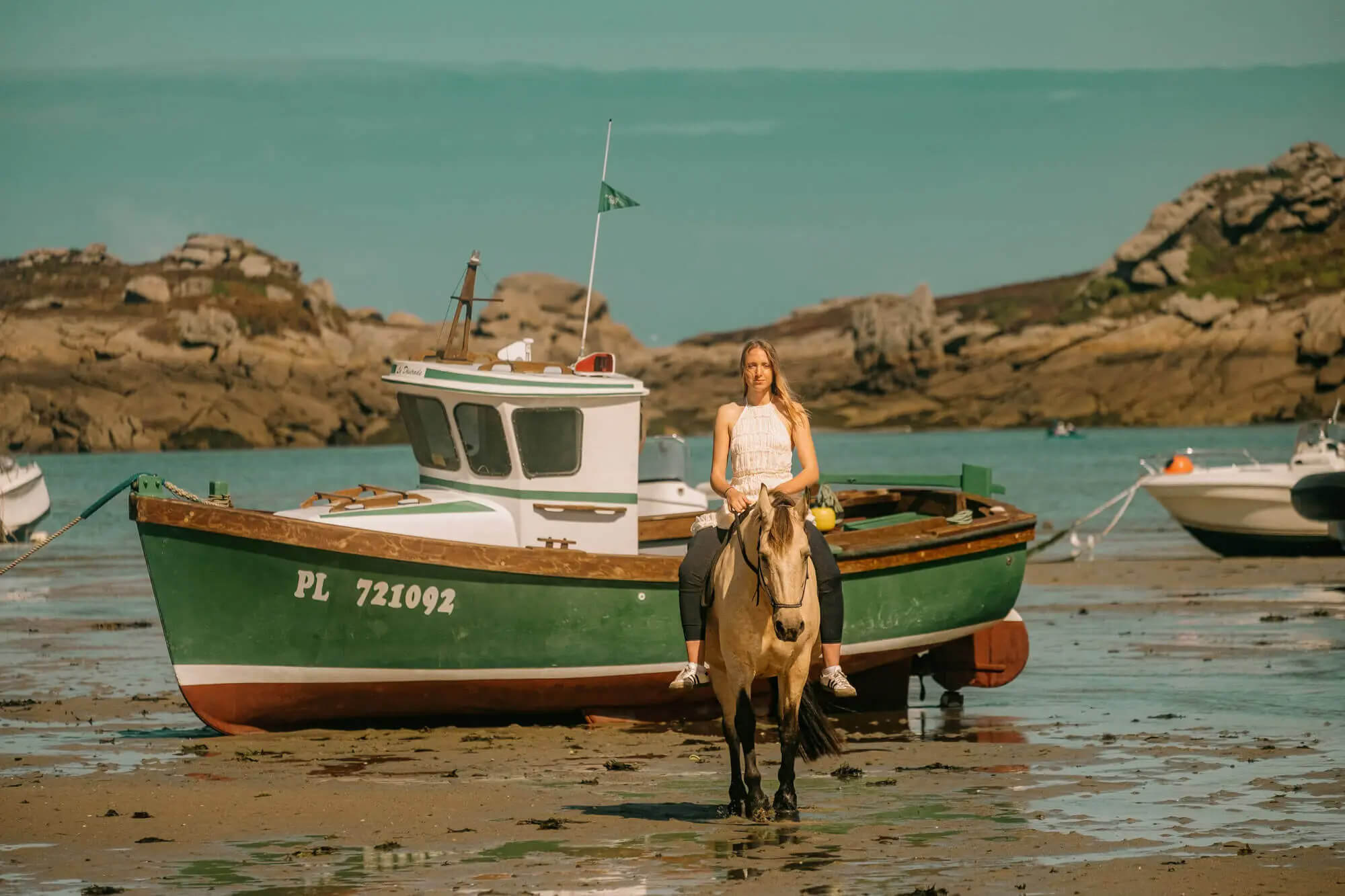 L'Homme et l'Animal - Photographe animalier canin, félin, équin à Trégastel et dans le Trégor, Côtes d'Armor, Bretagne