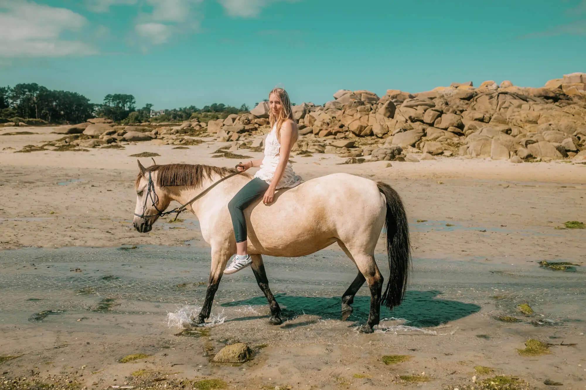 L'Homme et l'Animal - Photographe animalier canin, félin, équin à Perros-Guirec et Lannion, Côtes d'Armor, Bretagne