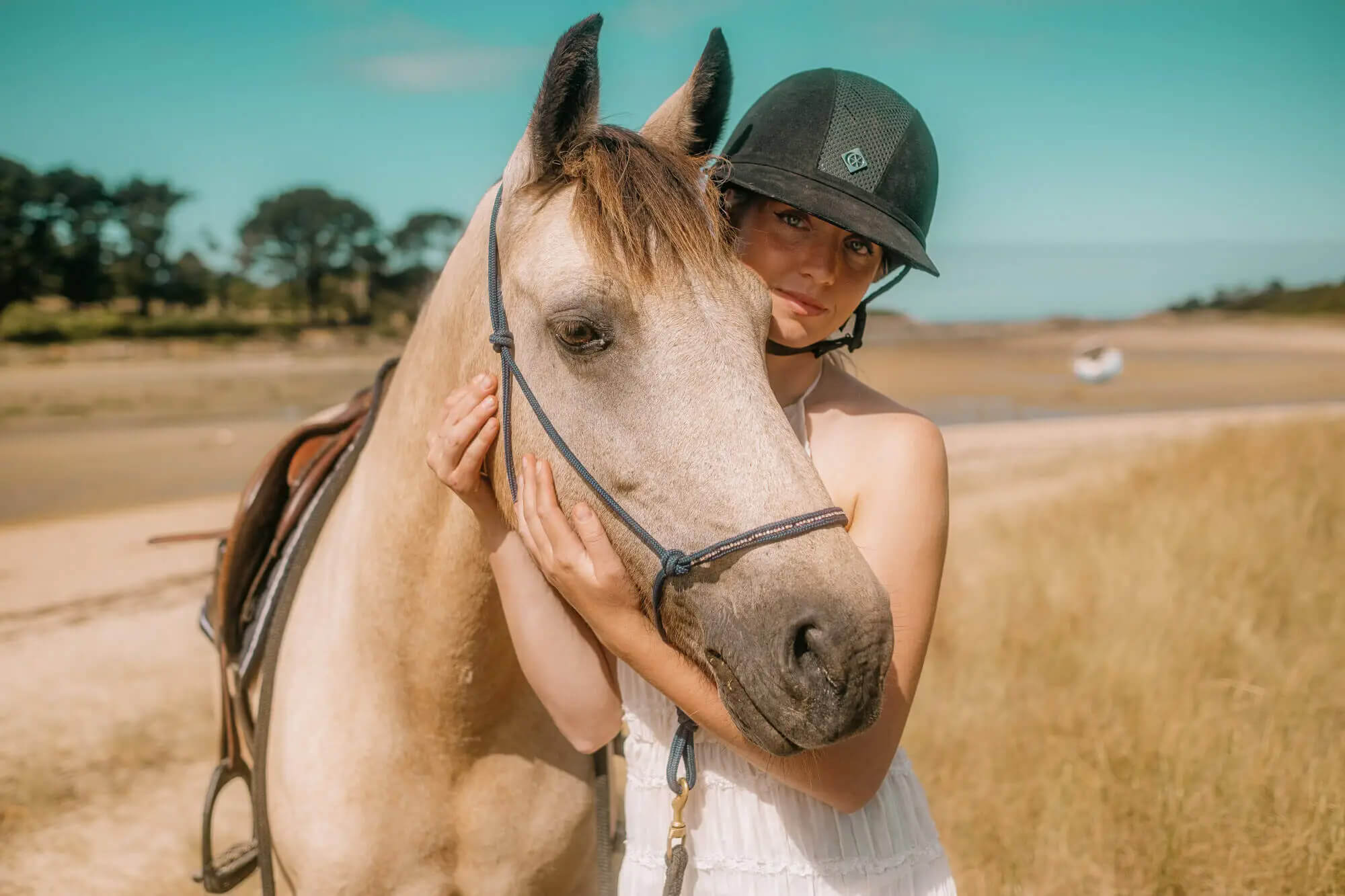 L'Homme et l'Animal - Photographe animalier canin, félin, équin à Trégastel et dans le Trégor, Côtes d'Armor, Bretagne