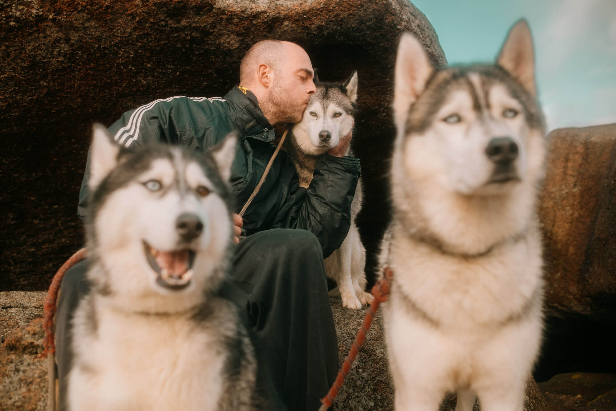 L'Homme et l'Animal - Photographe animalier canin, félin, équin à Perros-Guirec et Lannion, Côtes d'Armor, Bretagne