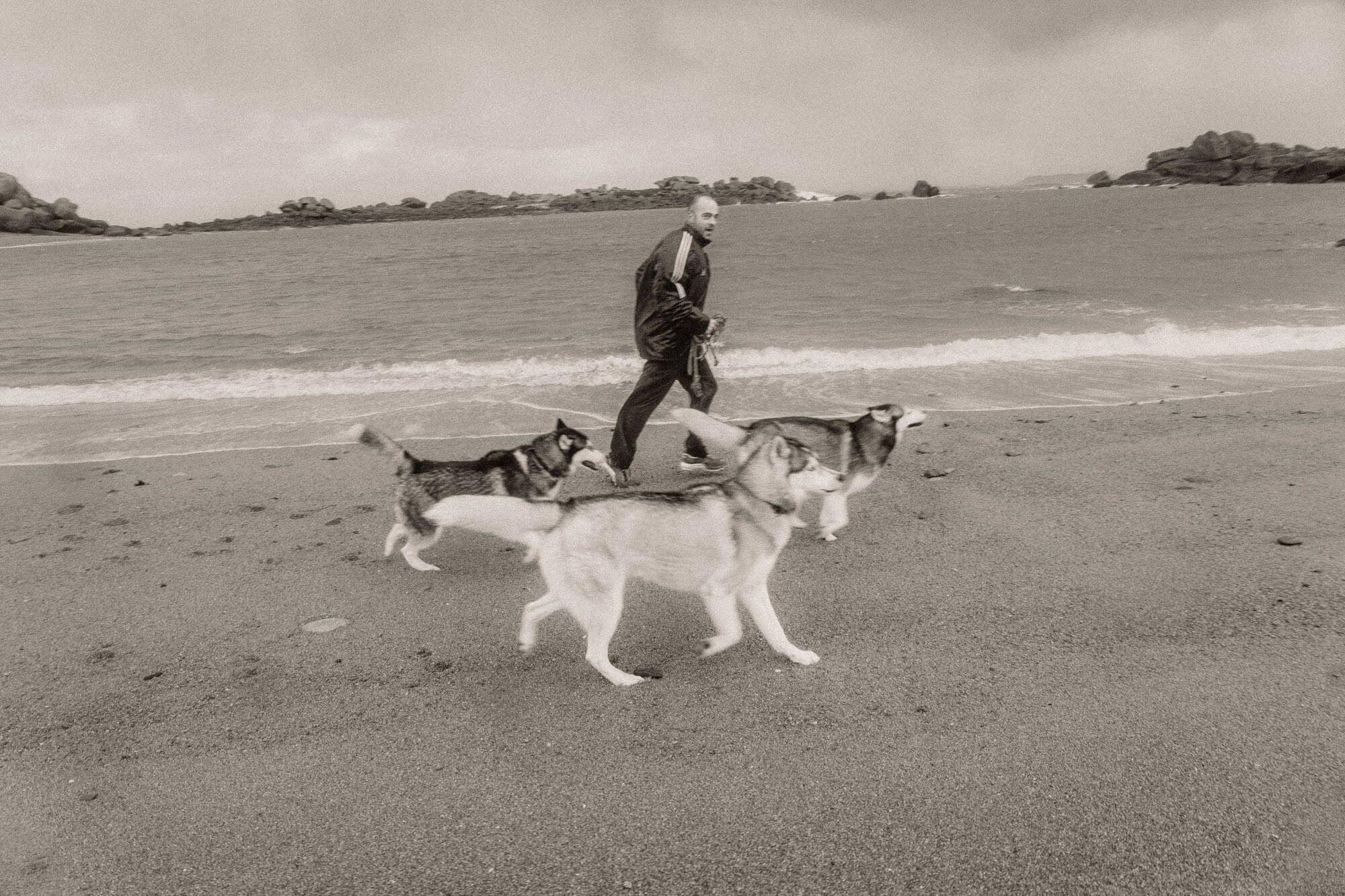 L'Homme et l'Animal - Photographe animalier canin, félin, équin à Perros-Guirec et Lannion, Côtes d'Armor, Bretagne