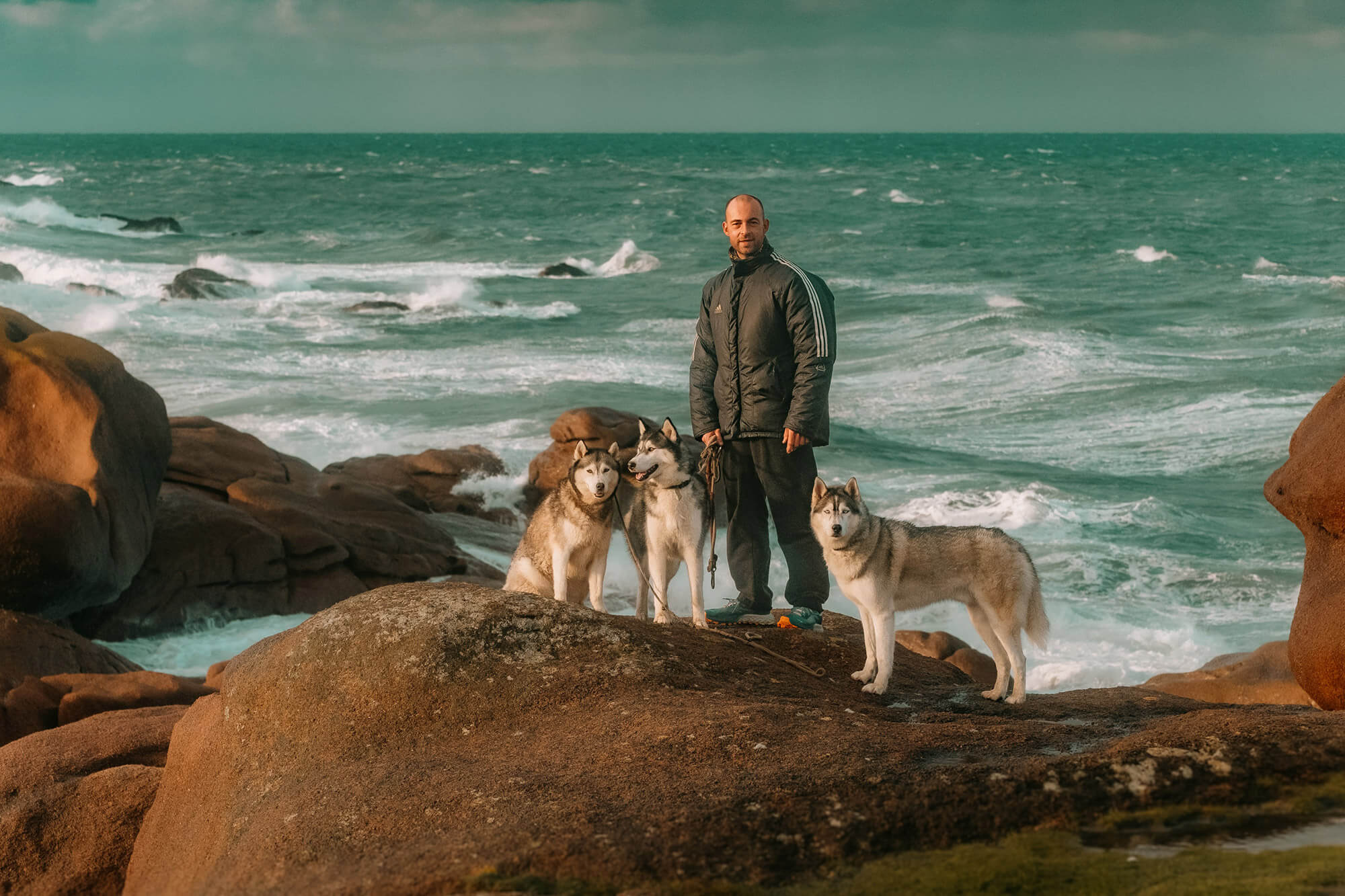 L'Homme et l'Animal - Photographe animalier canin, félin, équin à Trégastel et dans le Trégor, Côtes d'Armor, Bretagne