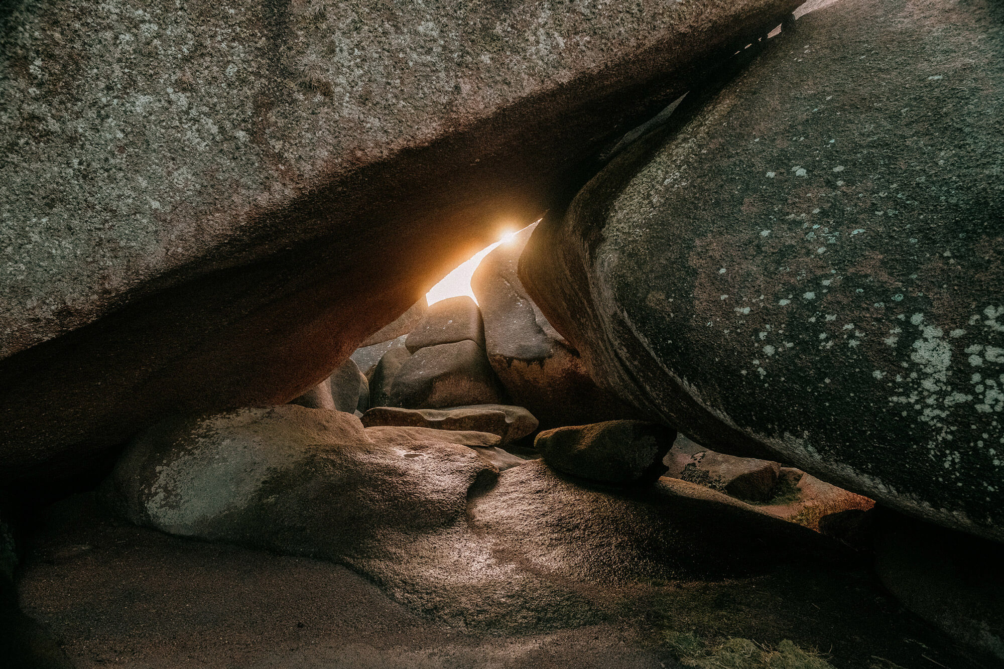 L'Homme et l'Animal - Photographe animalier canin, félin, équin à Trégastel et dans le Trégor, Côtes d'Armor, Bretagne
