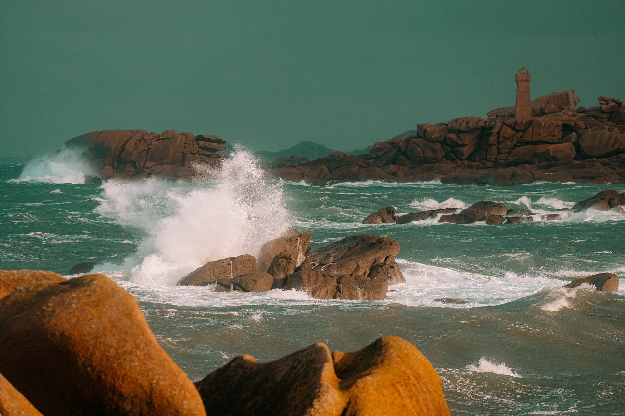 L'Homme et l'Animal - Photographe animalier canin, félin, équin à Perros-Guirec et Lannion, Côtes d'Armor, Bretagne