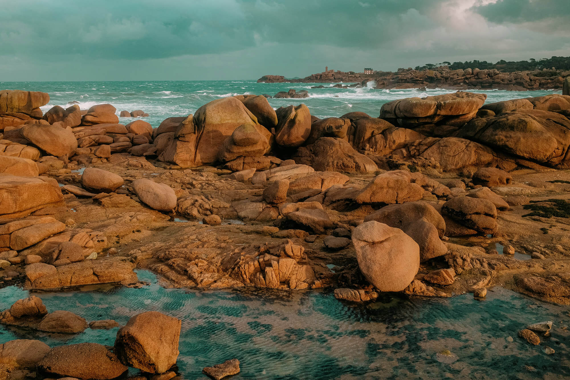 L'Homme et l'Animal - Photographe animalier canin, félin, équin à Trégastel et dans le Trégor, Côtes d'Armor, Bretagne
